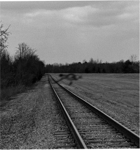Fast-moving creature leaps over railway