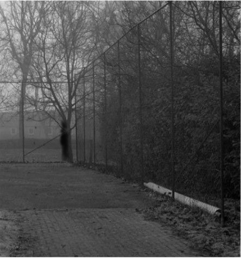 Shadow creature behind tree