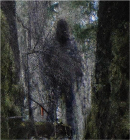 Ashbrooke Cryptid Sightings